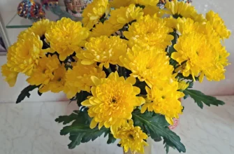 букет жёлтых хризантем
